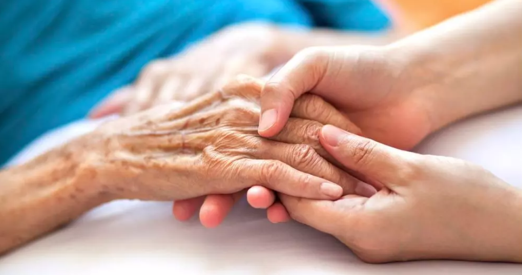 Everything You Need to Know About Palliative Care